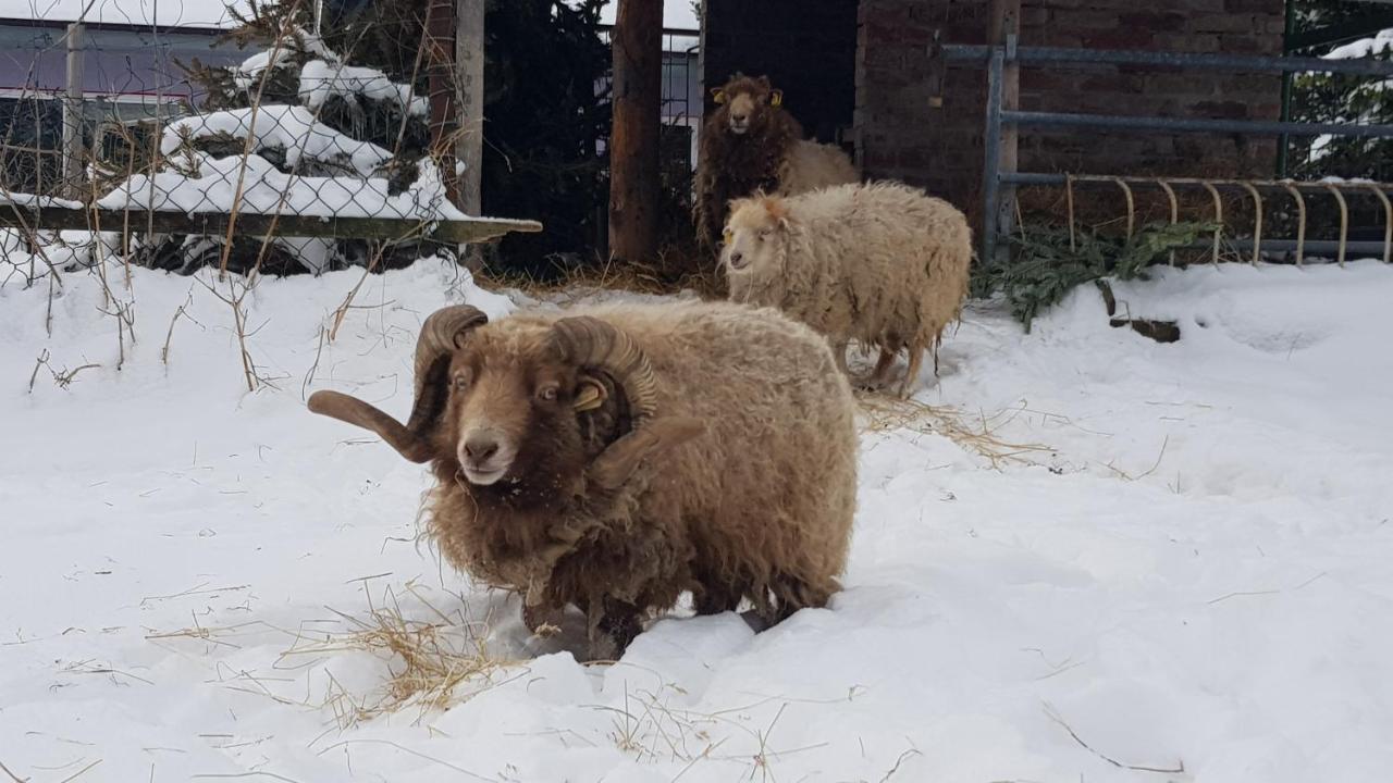 Zimmervermietung Zahn Baalberge Buitenkant foto