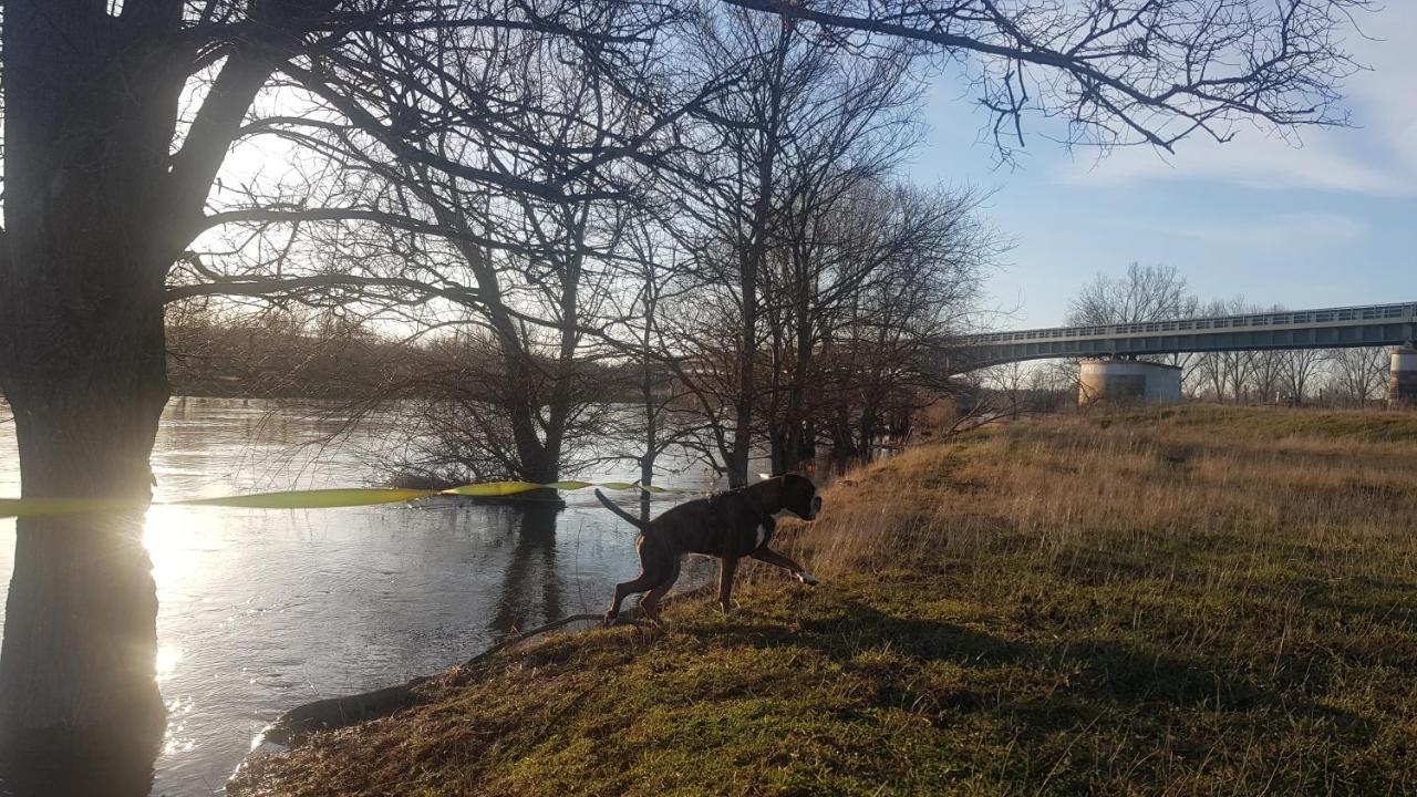 Zimmervermietung Zahn Baalberge Buitenkant foto