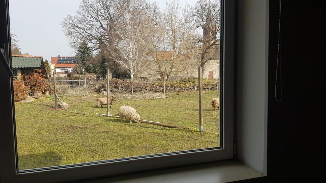 Zimmervermietung Zahn Baalberge Buitenkant foto