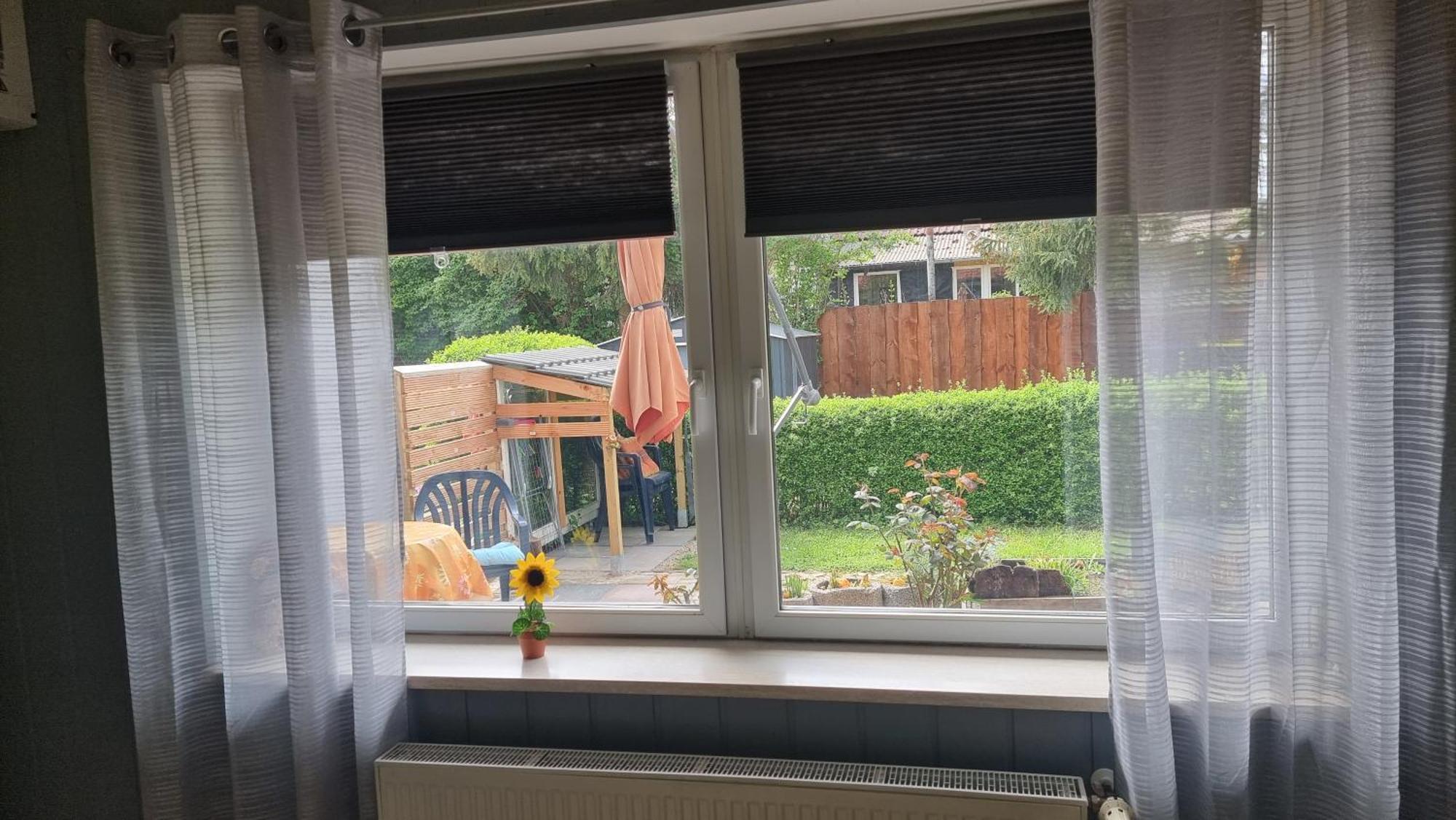 Zimmervermietung Zahn Baalberge Buitenkant foto